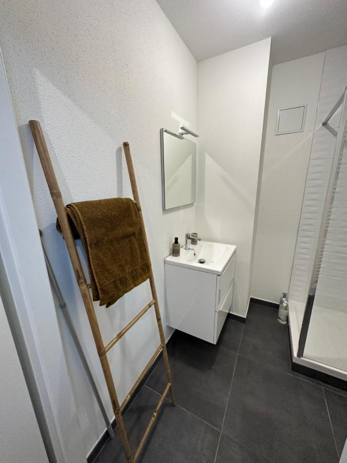 Appartement Atypique Proche Gare/ Dans L'Hyper-Centre Spacieux Pour 6P Au Coeur De Mulhouse Buitenkant foto