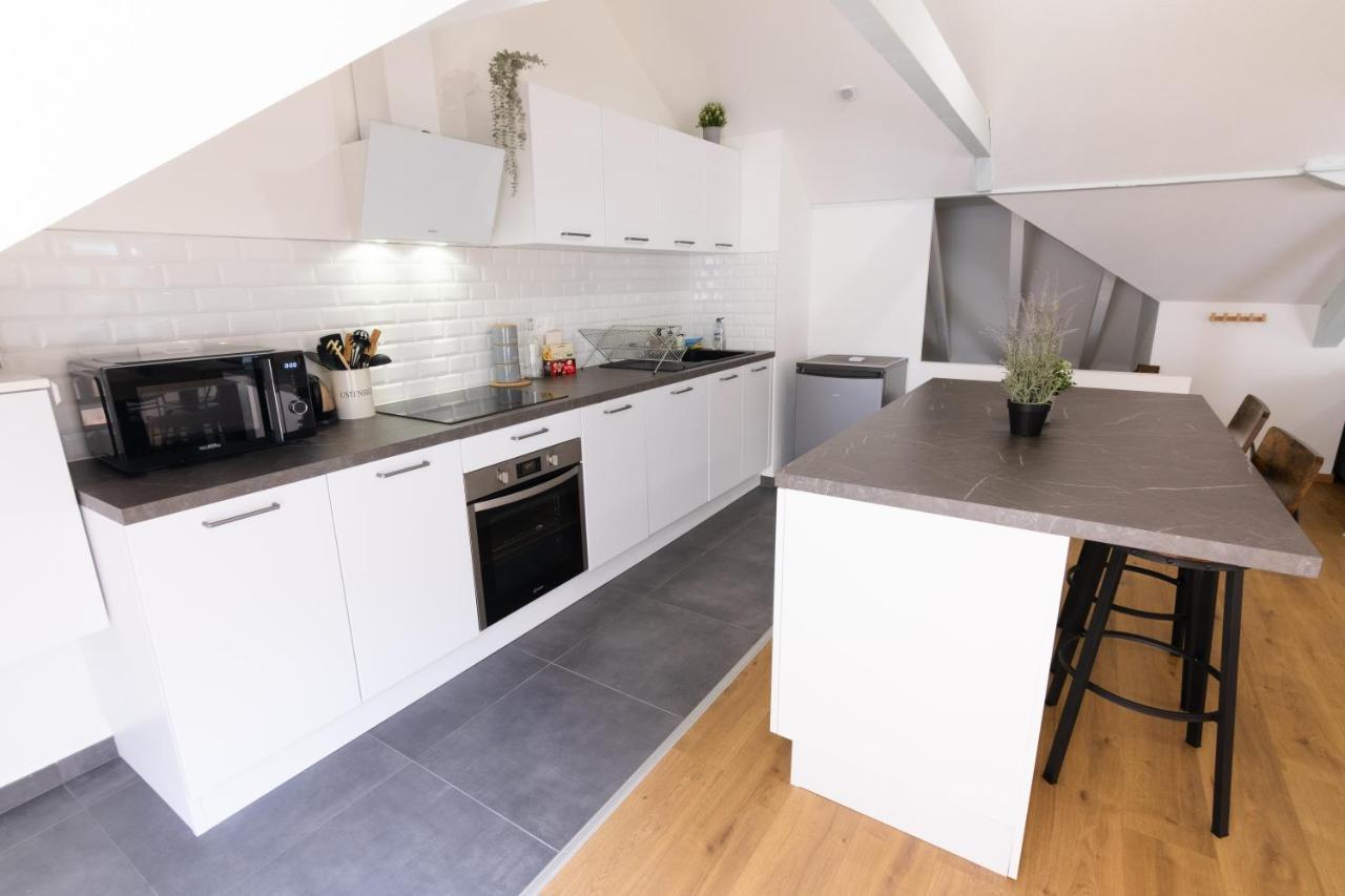 Appartement Atypique Proche Gare/ Dans L'Hyper-Centre Spacieux Pour 6P Au Coeur De Mulhouse Buitenkant foto